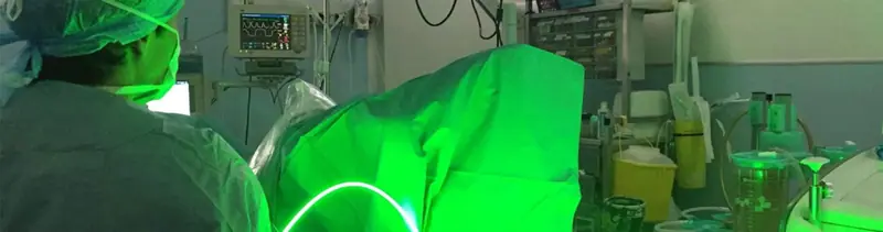 TROIS LASER (THULIUM, HOLMIUM, GREEN LIGHT)